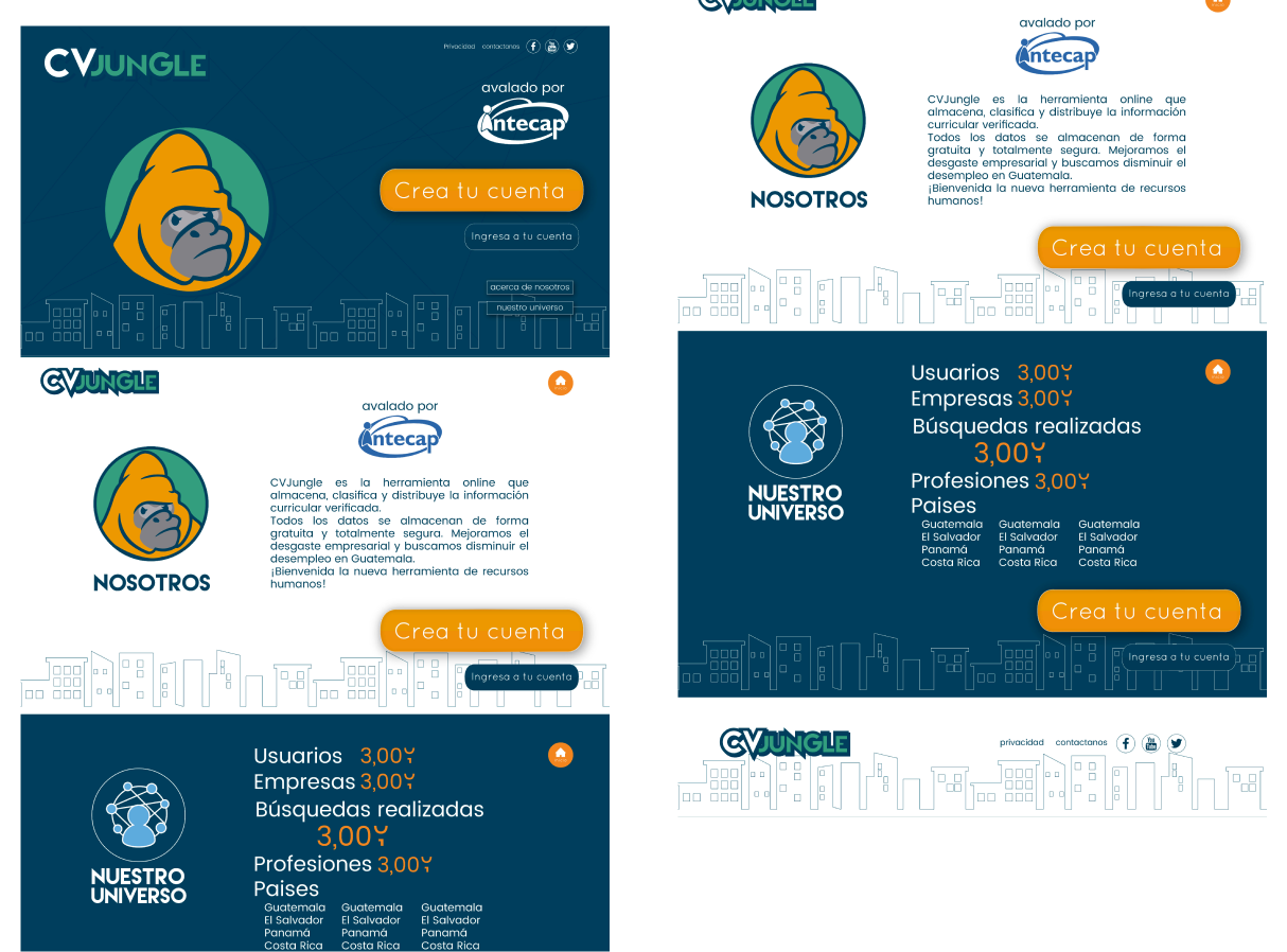 CVJungle Website